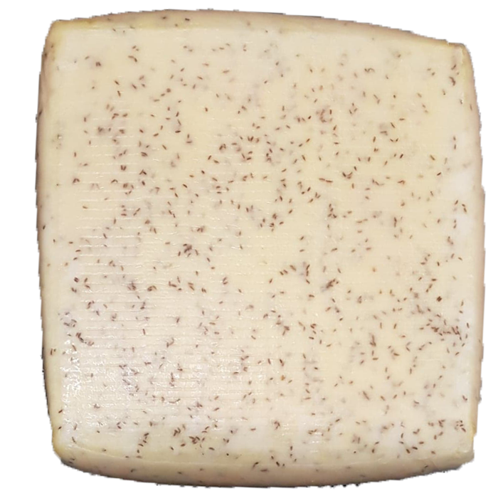 30+ Neut. Dybbækdal m/k